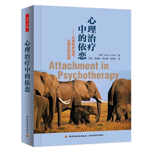 心理治疗中的依恋 从养育到治yu.从理论到实践 新华书店