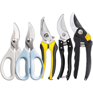 得力修枝剪刀园艺剪花边剪轻型重型果枝树枝剪子特氟龙省力剪枝