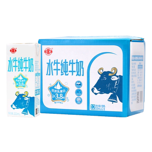 石埠纯水牛奶200ml*12盒三箱3.8g蛋白新鲜儿童学生早餐纯牛奶