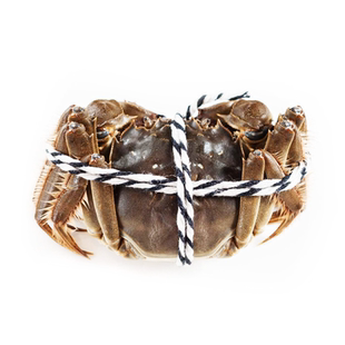 只 100g 鲜活大闸蟹 母90