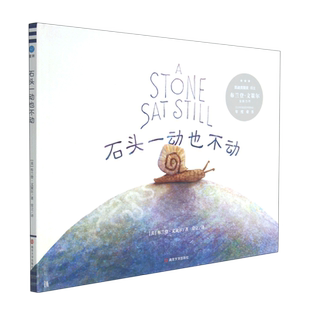 石头一动也不动 美 布兰登·文策尔3-6岁适读 儿童图画故事书绘本