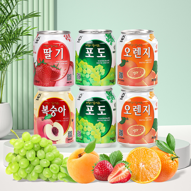 九日进口果汁饮料多口味果肉果汁组合238ml*6罐中秋出游欢聚畅饮