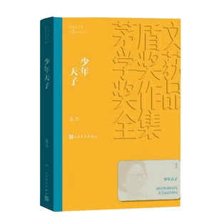 少年天子 凌力著 茅盾文学获作品全集 人民文学长篇历史小说