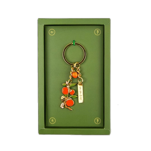 国家图书馆食来运转文创胸章礼盒实用文创送长辈朋友生日伴手礼物