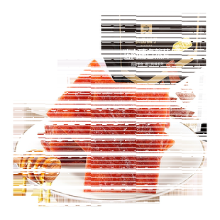 良品铺子猪肉脯蜜汁味100g*1袋靖江特产肉类小吃办公室休闲零食品