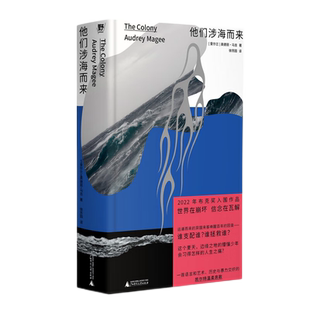 他们涉海而来 布克奖提名作品 爱尔兰作家奥德丽马吉著新华书店