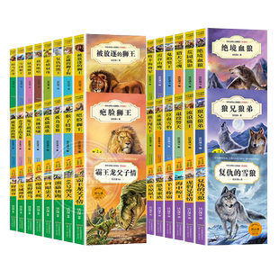 任选沈石溪动物小说全集正版狼兄狼弟虎豹兄弟情霸王龙父子情书籍