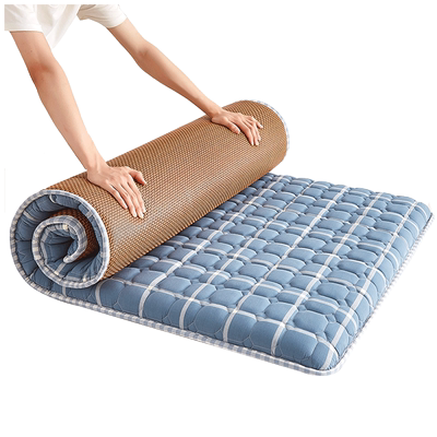 俞兆林90x190cm冬夏两用床垫