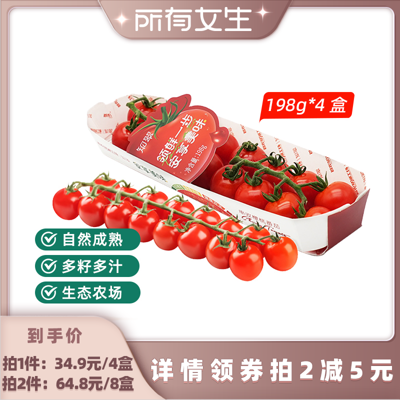 【所有女生直播间】知翠串收樱桃小番茄自然熟生吃西红柿新鲜水果