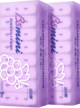 B5迷你护理湿巾洁尔阴