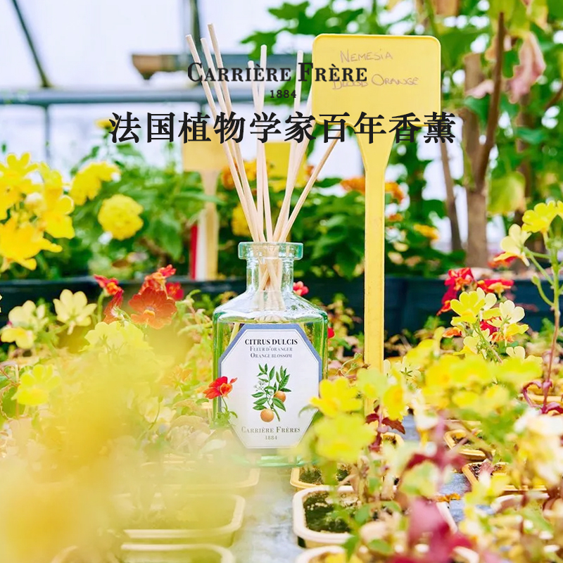CarriereFreres植物学家无火香氛