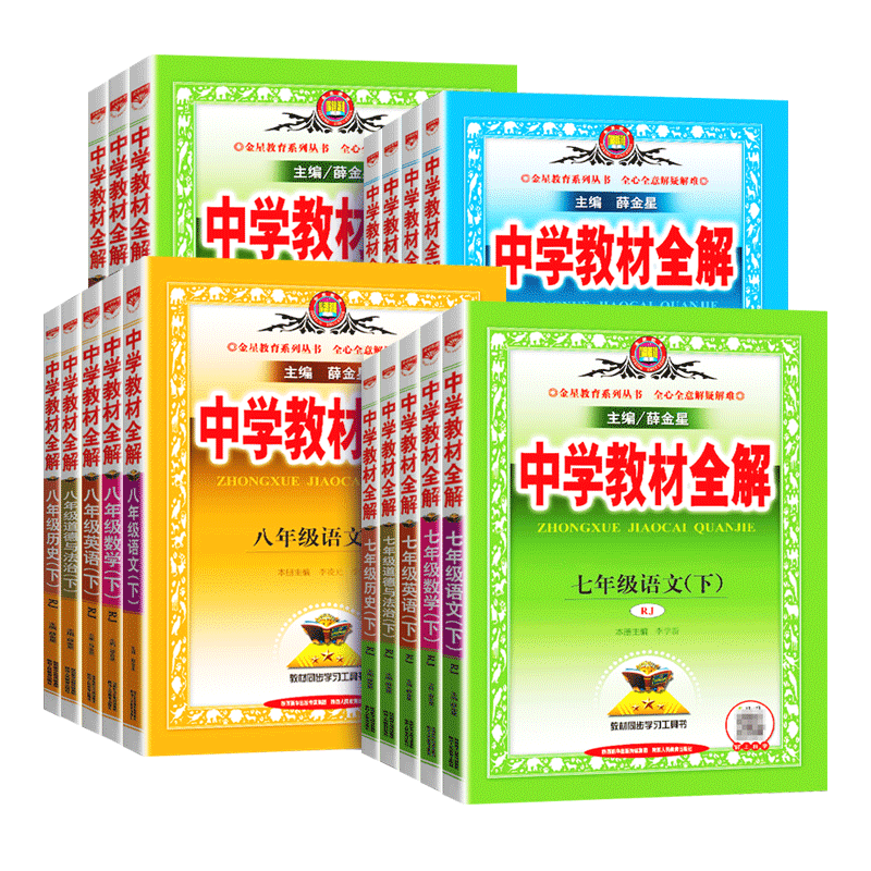 2025春薛金星中学教材全解七