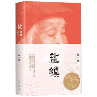 盐镇 易小荷著 女性文学 中国乡镇女性的生活与命运的缩影