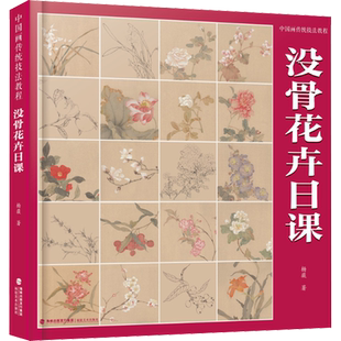 中国画传统技法教程 没骨花卉日课杨薇 著 美术理论画册白描教学