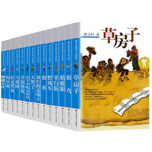 曹文轩纯美小说系列儿童文学书籍全集14册青铜葵花樱桃小庄草房子