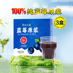 药都拾遗蓝莓原浆无添加原液含花青素纯果蔬汁nfc果汁正品3件装