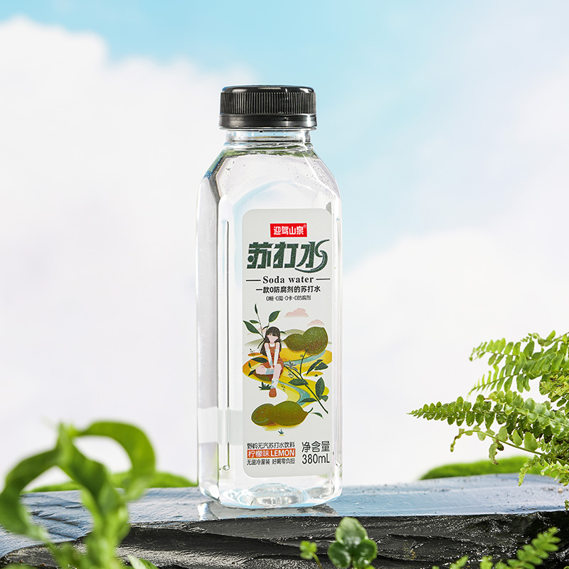 迎驾山泉无糖苏打水380ml×24瓶