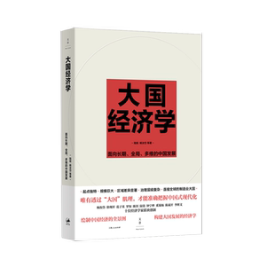 大国经济学 : 面向长期、全局、多维的中国发展