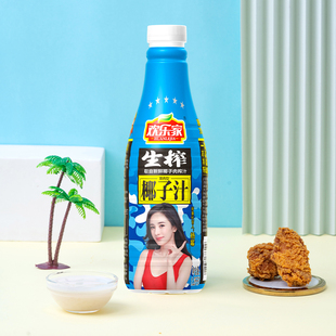 欢乐家植物蛋白饮料椰子汁1.25kg*6瓶商超同款椰汁椰奶聚会聚餐