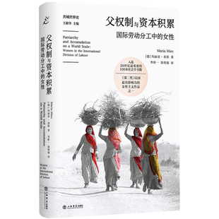 父权制与资本积累：国际劳动分工中的女性（共域世界史）