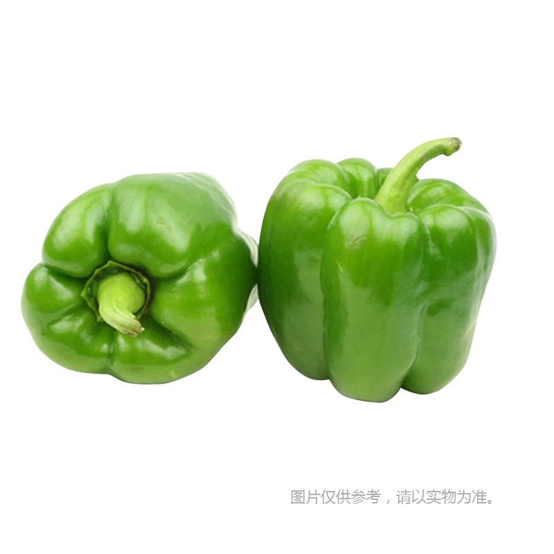 时鲜青圆椒/盒