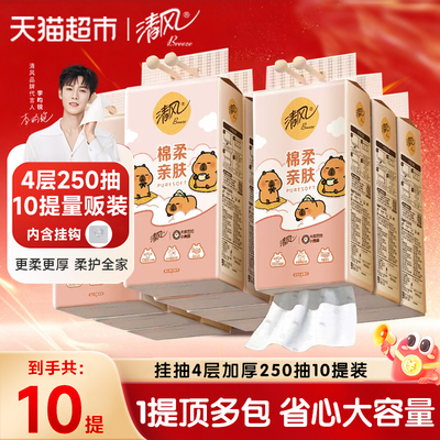 清风悬挂式抽纸250抽×10提