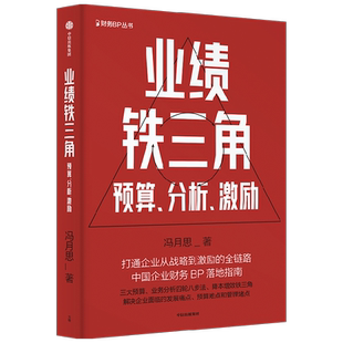 【业绩全链路】业绩铁三角预算分析激励中国企业财务BP落地指南