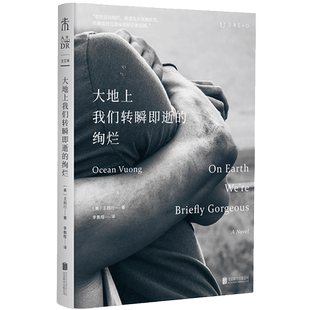 大地上我们转瞬即逝的绚烂 王鸥行 北京联合出版公司新华书店书籍