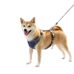 狗狗胸背带牵引绳背心式背带防爆冲中小型犬宠物用品柴犬项圈