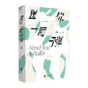 送你一颗子弹 刘瑜 民主的细节作者现当代文学犀利之作新华书店