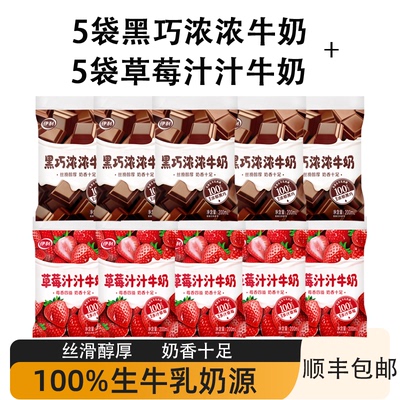 伊利风味草莓黑巧牛奶