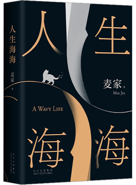 人生海海麦家正版