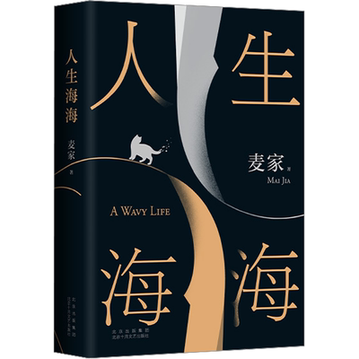 人生海海麦家正版