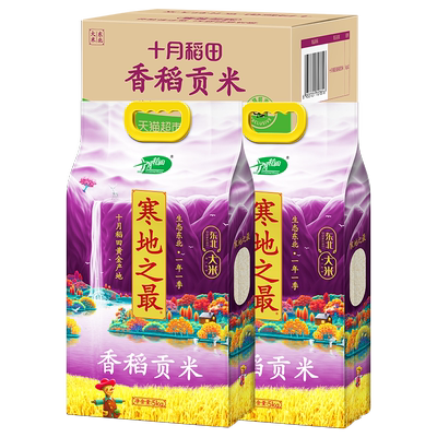 十月稻田东北大米