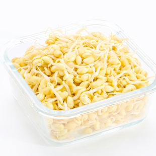 菜源精选黄豆芽400g/份