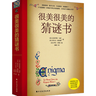 很美很美的猜谜书升级版巴黎彩绘解谜手册激发孩子数学兴趣入门书