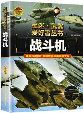 军迷武器爱好者丛书战斗机科普