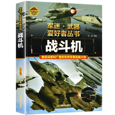 军迷武器爱好者丛书战斗机科普