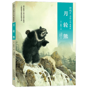 椋鸠十动物小说 爱藏本01 月轮熊