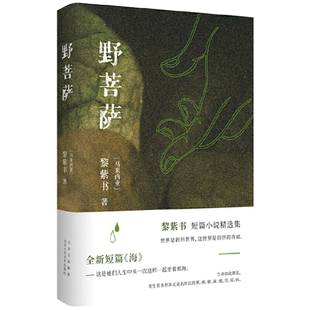 野菩萨黎紫书 《流俗地》作者短篇小说精选集 王德威推荐正版书籍