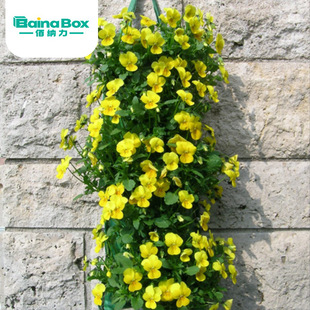 亚马逊花房阳台悬挂式花卉种植袋0孔1孔十字草莓种植袋