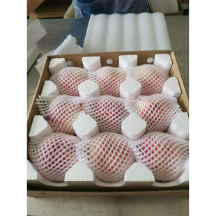 苹果托桃子秋月梨石榴酸奶啤酒牛肉泡沫箱保温盒山东烟台龙口