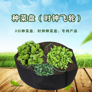 亚马逊多肉种植袋 可分栏无纺布种植袋室内办公用蔬菜三口种菜盆