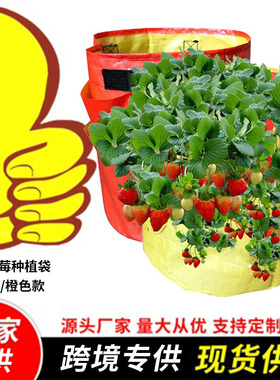 橙色多口草莓袋草莓种植袋园艺花园美植袋植树袋植物生长袋盆栽