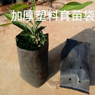 黑色加厚育苗袋柑橘营养杯营养钵果苗杯盆景种植袋