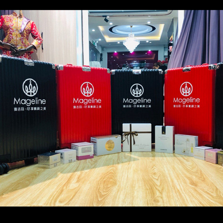 麦吉丽团队 拉杆箱定制logo微商 旅行箱包密码行李箱子印广告团购