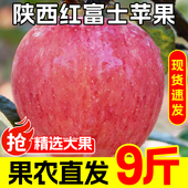 9斤 脆甜丑平果应季 果园直发 陕西红富士苹果水果新鲜整箱当季