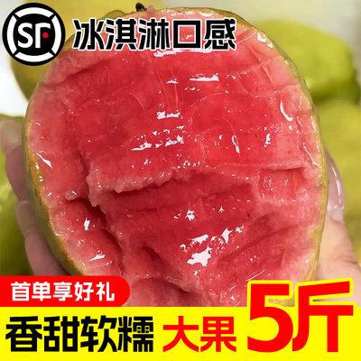 红心芭乐！送货上门！