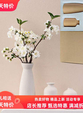 跨境挂件新款白色入户花瓶摆件套装欧式感客厅电视柜家居装饰品