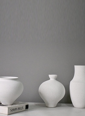 ins挂件北欧创意陶瓷花瓶水培